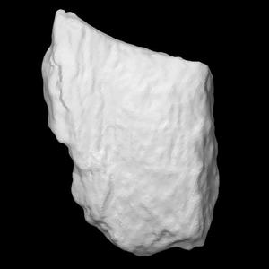 Cervus Elaphus Indet Antler