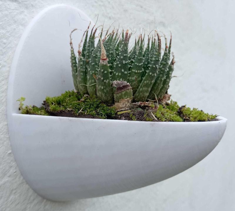 Planter or Wall Pot - Vertical Vegetable Garden
