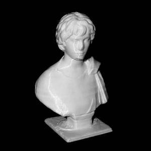 Young Gaul at The Louvre, Paris