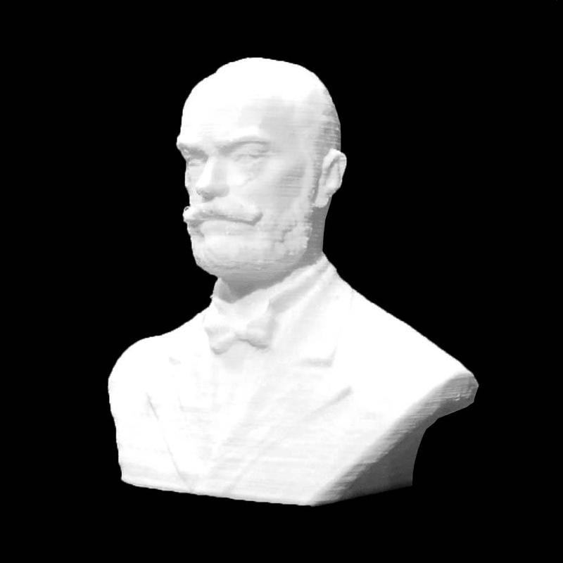 Ormos Zsigmond in Timisoara, Romania