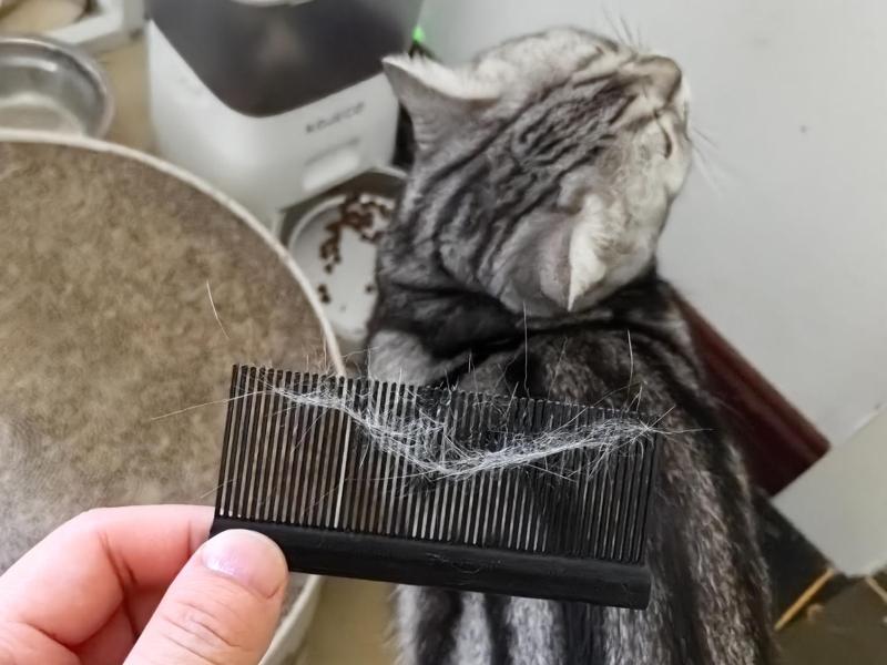 Floating Hair Comb