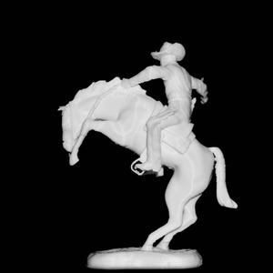 The Broncho Buster at The Amon Carter Museum in Fort Worth, Texas