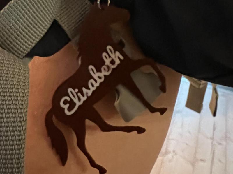 Elisabeths Horse Batch