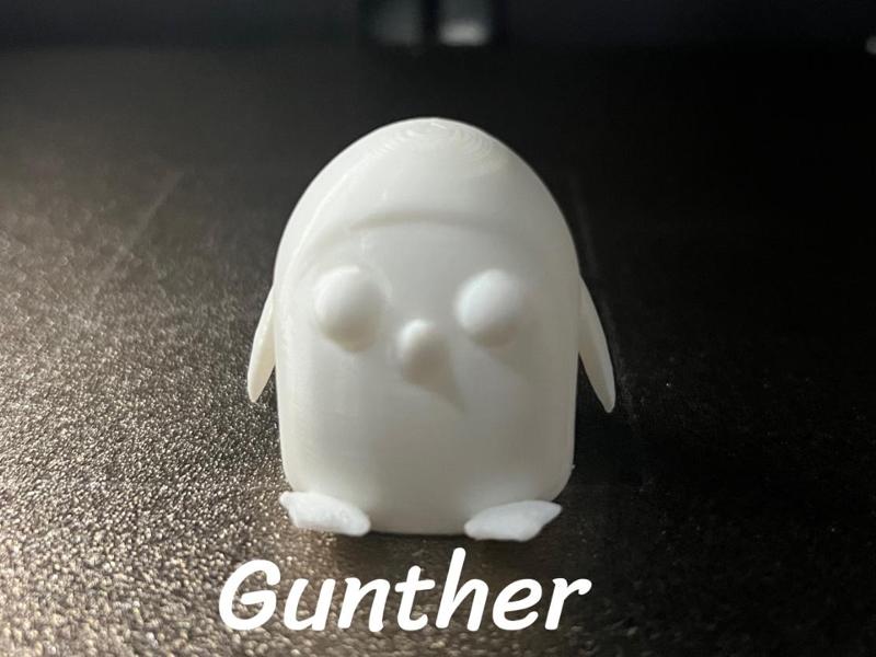 Penguin Gunther Adventure Time