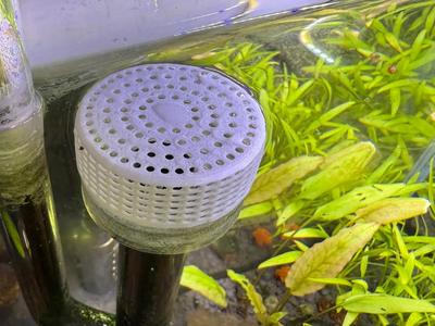 Aquarium Inlet Guard, Anti-Fish Suction