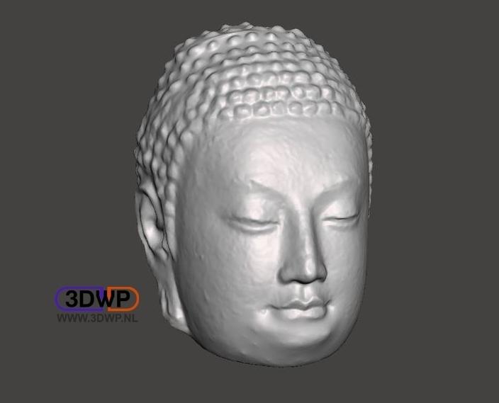 Buddha Head (Hollow)