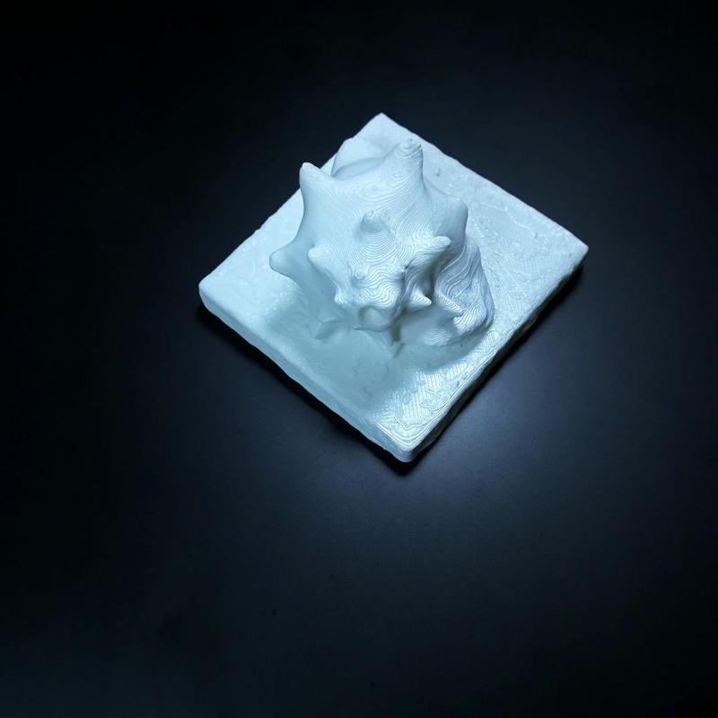 Sin título 3D Escaner 2018-02-03