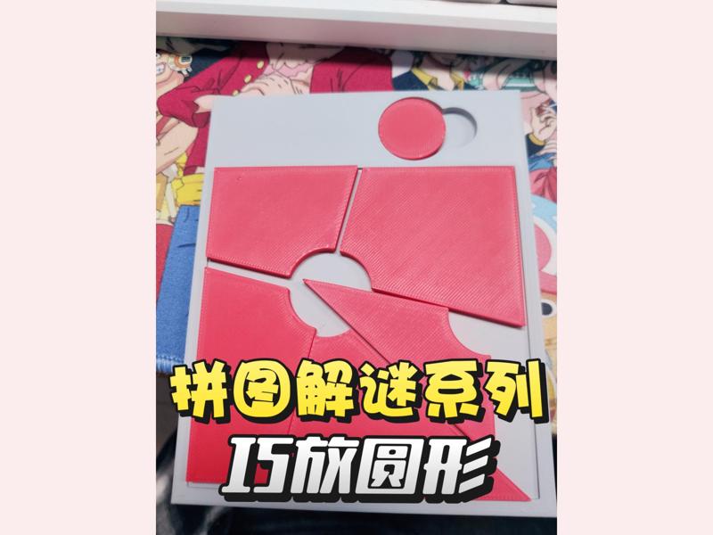【Clever Placement】 Educational toy puzzle, fun jigsaw, Clever Placement series jigsaw
