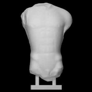 Torso of a kouros