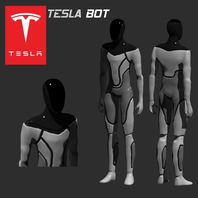 TESLA BOT