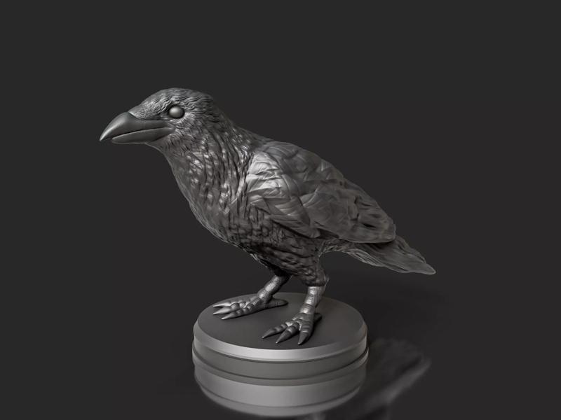 Realistic Crow Bird