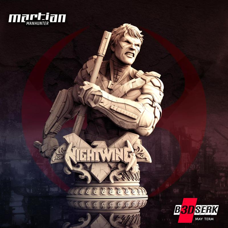 B3DSERK May Term Nightwing Bust for 3d printing