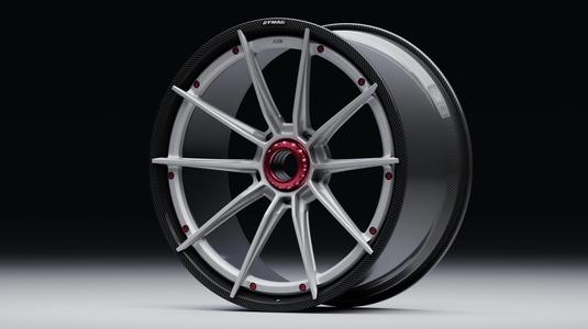 AL13 CF R10