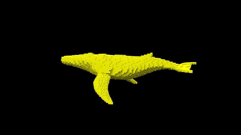 whale voxel