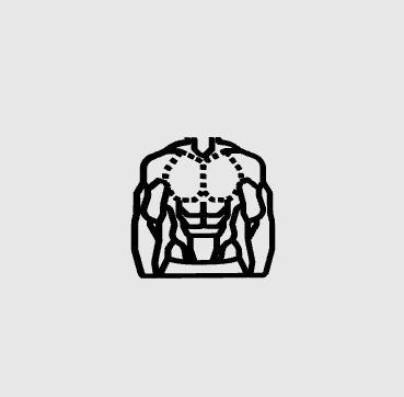MUSCLE PICTOGRAM