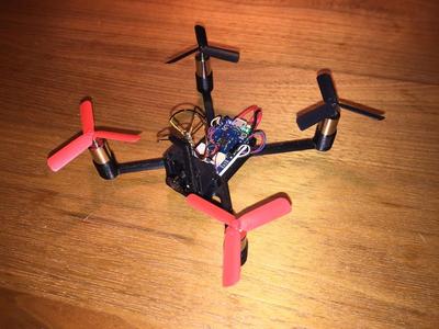 Micro quad with Elite Quanum micro cam, SciSky and 8.5mm motors