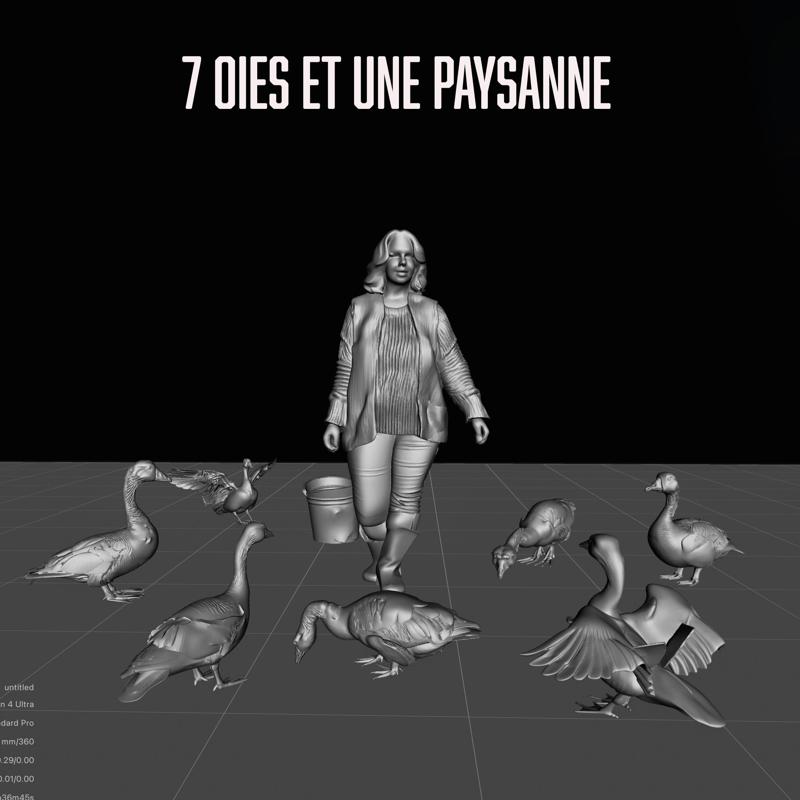 Lot 14 - 7 geese and a peasant girl