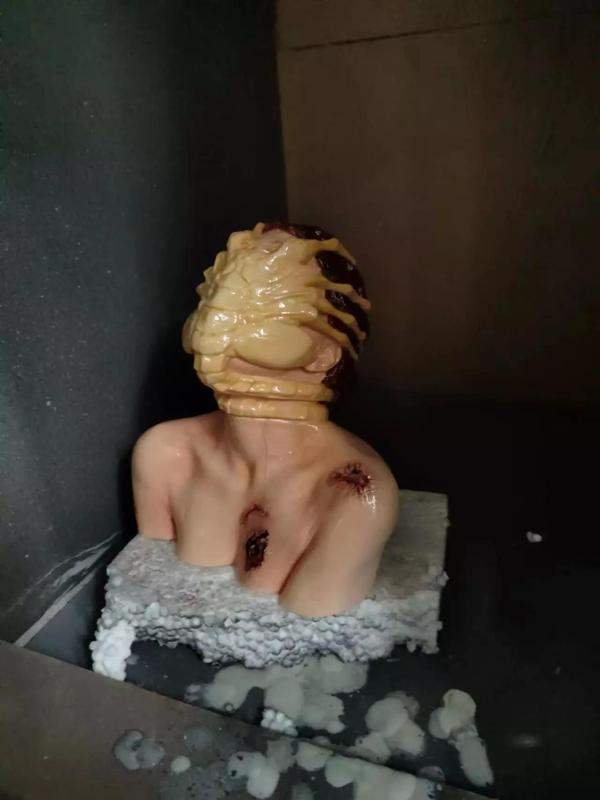 Facehugger Alien  wuman monster