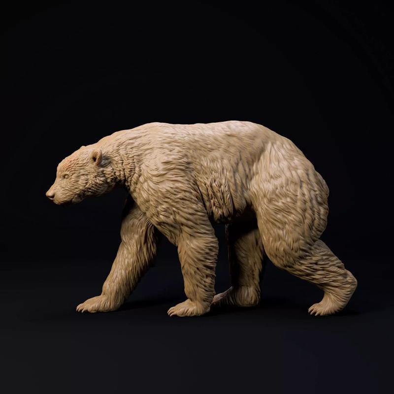 Arctodus Simus Short faced bear pre-supported