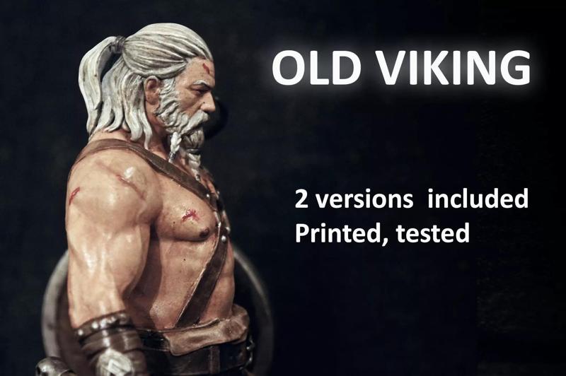 OLD Viking