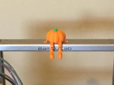 Flexi Pumkin