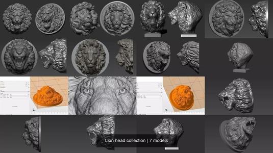 Lion head collection