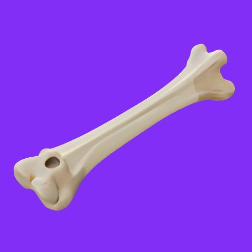 Stylized Long Bone