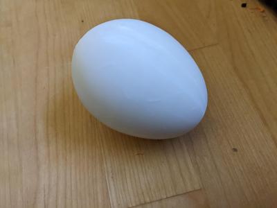 Egg