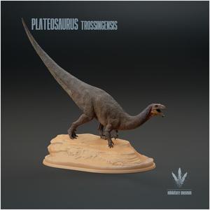 Plateosaurus trossingensis : On a Rock