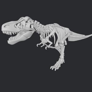 skeleton trex