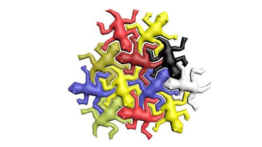 escher echsen - space filling puzzle - no supports