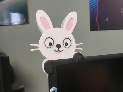 The happy monitor bunny