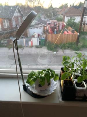 Halo Light Stand for Little Plants
