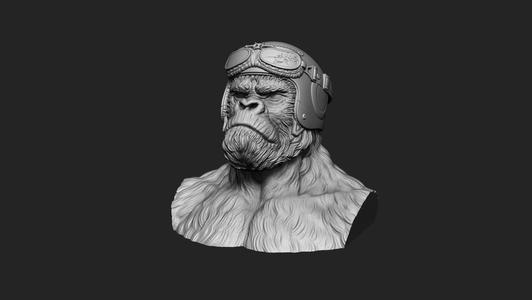Gorilla Biker (No shoulders)