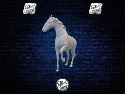Horse A9