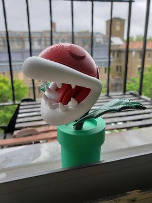 Piranha Plant and Kirby Piranha + MMU