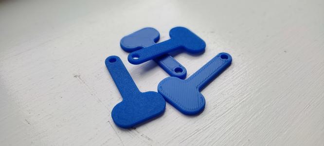 Removable Trolley Token (UK Edition)