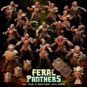 Feral Panthers Full Team