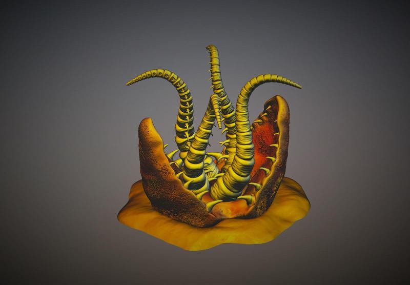 Sand Worm
