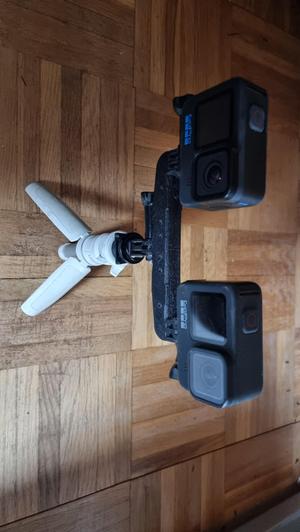 Dual Gopro Mount
