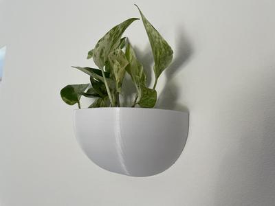 Wall flowerpot