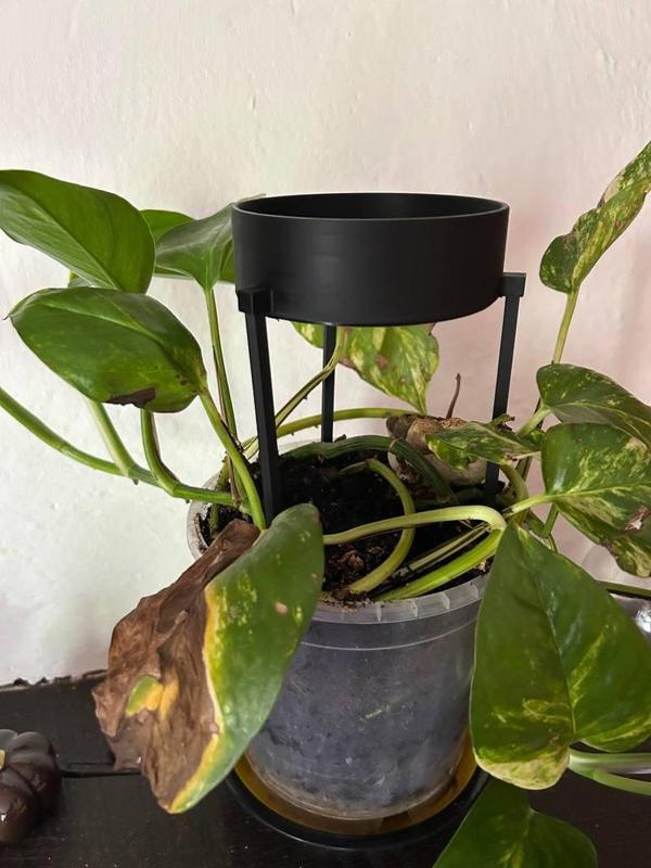Simple plant watering
