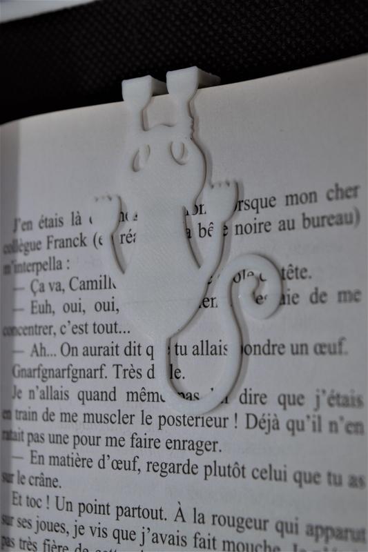 Chat Book (bookmark pages)