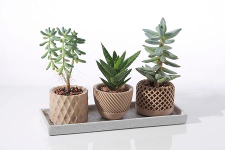 Modern geometric succulent plant pot 