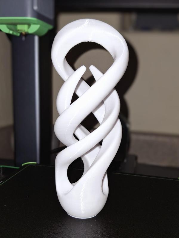 "Twist" Organic Sculpture - support free