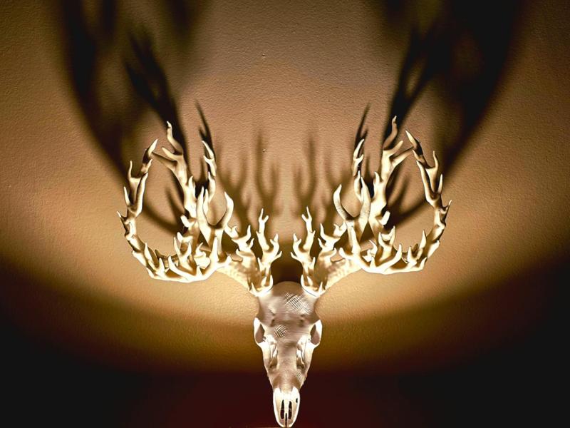 "Fire" Whitetail Deer Skull