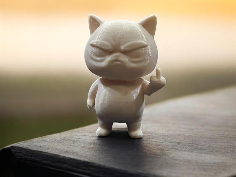 Middle Paw – The Rude Cat 