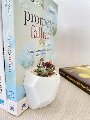 Bookend planter for succulents