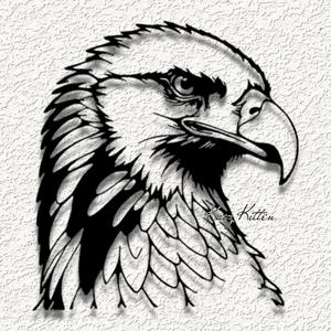 eagle bird of preyWALL ART HOME DECOR
