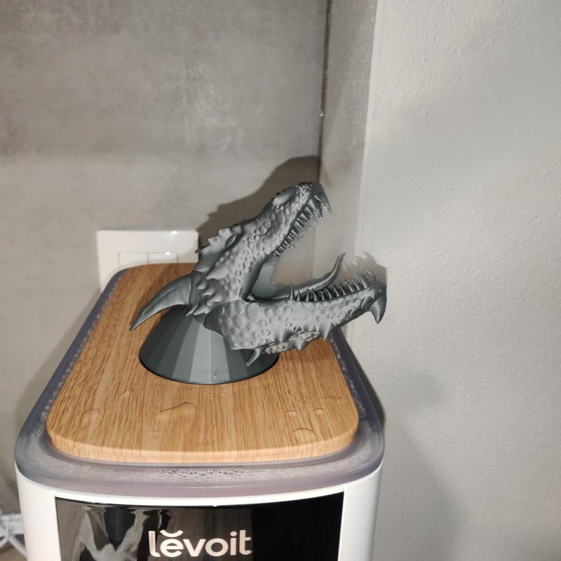 Humidifier Dragon Nozzle